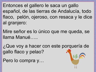 Entonces el gallero le saca un gallo español, de las tierras de Andalucía, todo flaco,  pelón, ojeroso, con resaca y le dice al granjero:  Mire señor es lo único que me queda, se llama Manué….. ¿Que voy a hacer con este porquería de gallo flaco y pelao?  Pero lo compra y… 