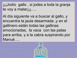 ¡¡¡Jodío  gallo , si jodes a toda la granja te voy a matar¡¡¡…. Al día siguiente va a buscar al gallo, y encuentra la jaula desarmada ,y en el gallinero están todas las gallinas emocionadas,  la vaca  con las patas para arriba, y a la cabra suspirando por Manué…. 