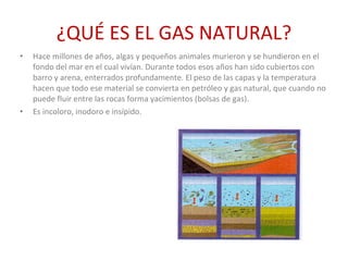 ¿QUÉ ES EL GAS NATURAL? Hace millones de años, algas y pequeños animales murieron y se hundieron en el fondo del mar en el cual vivían. Durante todos esos años han sido cubiertos con barro y arena, enterrados profundamente. El peso de las capas y la temperatura hacen que todo ese material se convierta en petróleo y gas natural, que cuando no puede fluir entre las rocas forma yacimientos (bolsas de gas). Es incoloro, inodoro e insípido. 