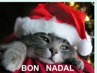 BON  NADAL 