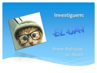 Investiguem:




Bruno Rodríguez
      1er. Roure
 