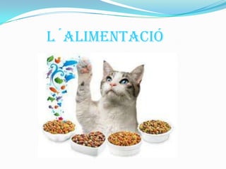 L´alimentació
 