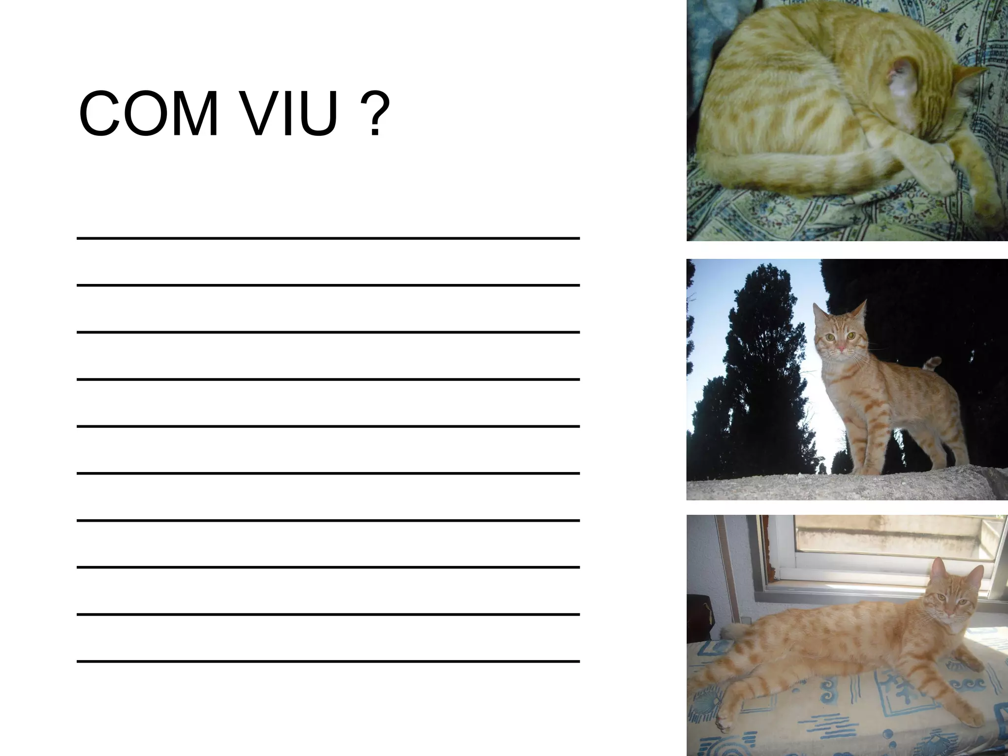 ______________________________________________________________________________________________________________________________________________________________________________________________________________________________________ COM VIU ? 