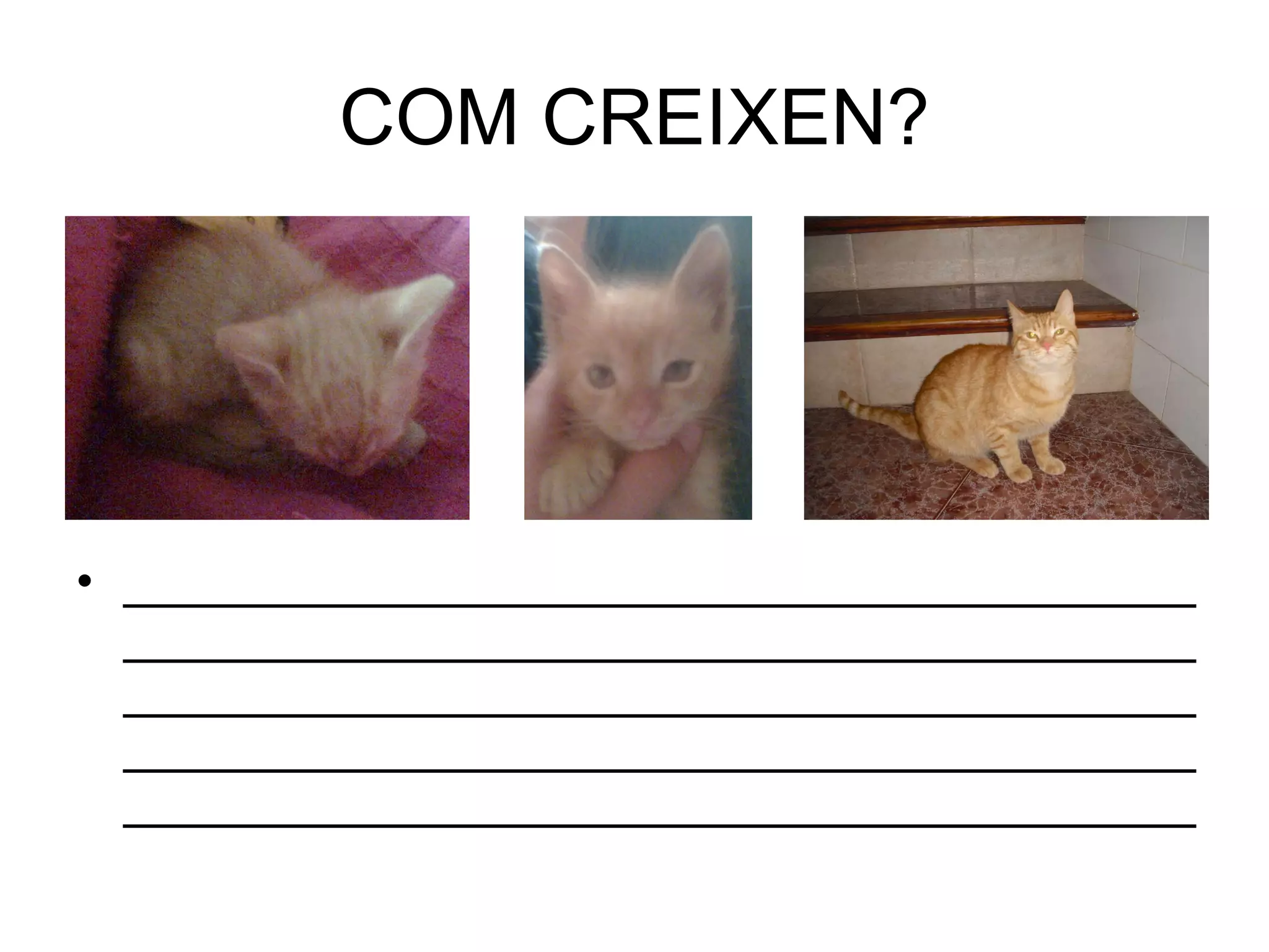COM CREIXEN? ___________________________________________________________________________________________________________________________________________________________________________________________________ 