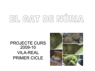 PROJECTE CURS 2009-10 VILA-REAL PRIMER CICLE EL GAT DE NÚRIA 