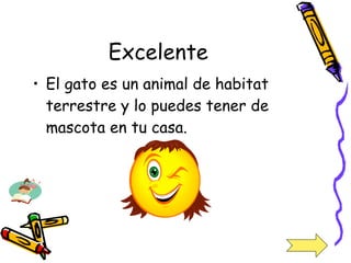 Excelente El gato es un animal de habitat terrestre y lo puedes tener de mascota en tu casa. 