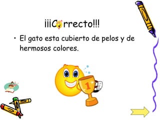 ¡¡¡C  rrecto!!! El gato esta cubierto de pelos y de hermosos colores. 