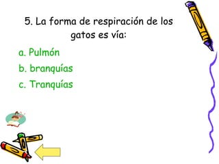 5. La forma de respiración de los gatos es vía: a. Pulmón b. branquías c. Tranquías 