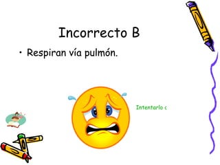 Incorrecto B Respiran vía pulmón. Intentarlo de nuevo 