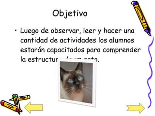 Objetivo Luego de observar, leer y hacer una cantidad de actividades los alumnos estarán capacitados para comprender la estructura de un gato. 
