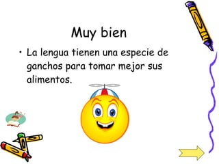 Muy bien La lengua tienen una especie de ganchos para tomar mejor sus alimentos. 