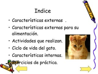 Indice   Características externas  . Características externas para su alimentación.  Actividades que realizan.  Ciclo de vida del gato. Características internas. Ejercicios de práctica. 