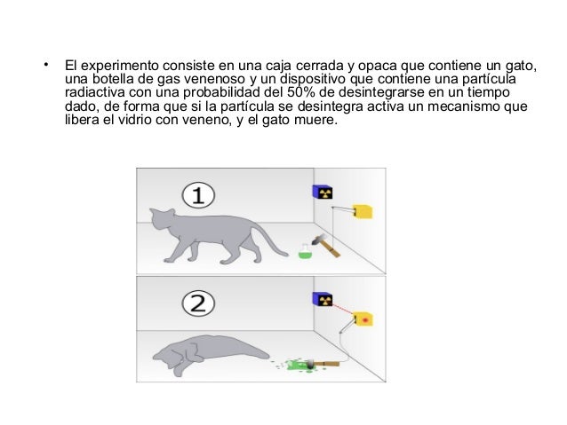 • Al terminar el tiempo establecido, hay una probabilidad del 50% de que eldispositivo se haya activado y el gato esté mue...