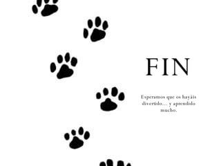 FIN Esperamos que os hayáis divertido… y aprendido mucho. 