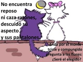 No encuentra reposo  ni caza ratones,  descuidó su aspecto  y sus pantalones. Anda por el monte  triste y compungido pregunta a las flores: ¿Seré el elegido?  