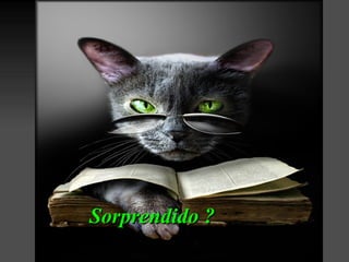 Sorprendido ?
 