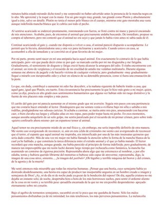 minutos había estado mirando dicho tonel y me sorprendió no haber advertido antes la presencia de la mancha negra en
lo alto. Me aproximé y la toqué con la mano. Era un gato negro muy grande, tan grande como Plutón y absolutamente
igual a éste, salvo un detalle. Plutón no tenía el menor pelo blanco en el cuerpo, mientras este gato mostraba una vasta
aunque indefinida mancha blanca que le cubría casi todo el pecho.

Al sentirse acariciado se enderezó prontamente, ronroneando con fuerza, se frotó contra mi mano y pareció encantado
de mis atenciones. Acababa, pues, de encontrar el animal que precisamente andaba buscando. De inmediato, propuse su
compra al tabernero, pero me contestó que el animal no era suyo y que jamás lo había visto antes ni sabía nada de él.

Continué acariciando al gato y, cuando me disponía a volver a casa, el animal pareció dispuesto a acompañarme. Le
permití que lo hiciera, deteniéndome una y otra vez para inclinarme y acariciarlo. Cuando estuvo en casa, se
acostumbró a ella de inmediato y se convirtió en el gran favorito de mi mujer.

Por mi parte, pronto sentí nacer en mí una antipatía hacia aquel animal. Era exactamente lo contrario de lo que había
anticipado, pero -sin que pueda decir cómo ni por qué- su marcado cariño por mí me disgustaba y me fatigaba.
Gradualmente, el sentimiento de disgusto y fatiga creció hasta alcanzar la amargura del odio. Evitaba encontrarme con
el animal; un resto de vergüenza y el recuerdo de mi crueldad de antaño me vedaban maltratarlo. Durante algunas
semanas me abstuve de pegarle o de hacerlo víctima de cualquier violencia; pero gradualmente -muy gradualmente-
llegué a mirarlo con inexpresable odio y a huir en silencio de su detestable presencia, como si fuera una emanación de
la peste.

Lo que, sin duda, contribuyó a aumentar mi odio fue descubrir, a la mañana siguiente de haberlo traído a casa, que
aquel gato, igual que Plutón, era tuerto. Esta circunstancia fue precisamente la que lo hizo más grato a mi mujer, quien,
como ya dije, poseía en alto grado esos sentimientos humanitarios que alguna vez habían sido mi rasgo distintivo y la
fuente de mis placeres más simples y más puros.

El cariño del gato por mí parecía aumentar en el mismo grado que mi aversión. Seguía mis pasos con una pertinencia
que me costaría hacer entender al lector. Dondequiera que me sentara venía a ovillarse bajo mi silla o saltaba a mis
rodillas, prodigándome sus odiosas caricias. Si echaba a caminar, se metía entre mis pies, amenazando con hacerme
caer, o bien clavaba sus largas y afiladas uñas en mis ropas, para poder trepar hasta mi pecho. En esos momentos,
aunque ansiaba aniquilarlo de un solo golpe, me sentía paralizado por el recuerdo de mi primer crimen, pero sobre todo
-quiero confesarlo ahora mismo- por un espantoso temor al animal.

Aquel temor no era precisamente miedo de un mal físico y, sin embargo, me sería imposible definirlo de otra manera.
Me siento casi avergonzado de reconocer, sí, aún en esta celda de criminales me siento casi avergonzado de reconocer
que el terror, el espanto que aquel animal me inspiraba, era intensificado por una de las más insensatas quimeras que
sería dado concebir. Más de una vez mi mujer me había llamado la atención sobre la forma de la mancha blanca de la
cual ya he hablado, y que constituía la única diferencia entre el extraño animal y el que yo había matado. El lector
recordará que esta mancha, aunque grande, me había parecido al principio de forma indefinida; pero gradualmente, de
manera tan imperceptible que mi razón luchó durante largo tiempo por rechazarla como fantástica, la mancha fue
asumiendo un contorno de rigurosa precisión. Representaba ahora algo que me estremezco al nombrar, y por ello
odiaba, temía y hubiera querido librarme del monstruo si hubiese sido capaz de atreverme; representaba, digo, la
imagen de una cosa atroz, siniestra..., ¡la imagen del patíbulo! ¡Oh lúgubre y terrible máquina del horror y del crimen,
de la agonía y de la muerte!

Me sentí entonces más miserable que todas las miserias humanas. ¡Pensar que una bestia, cuyo semejante había yo
destruido desdeñosamente, una bestia era capaz de producir tan insoportable angustia en un hombre creado a imagen y
semejanza de Dios! ¡Ay, ni de día ni de noche pude ya gozar de la bendición del reposo! De día, aquella criatura no me
dejaba un instante solo; de noche, despertaba hora a hora de los más horrorosos sueños, para sentir el ardiente aliento
de la cosa en mi rostro y su terrible peso -pesadilla encarnada de la que no me era posible desprenderme- apoyado
eternamente sobre mi corazón.

Bajo el agobio de tormentos semejantes, sucumbió en mí lo poco que me quedaba de bueno. Sólo los malos
pensamientos disfrutaban ya de mi intimidad; los más tenebrosos, los más perversos pensamientos. La melancolía
 