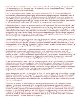habitual de mi humor creció hasta convertirse en aborrecimiento de todo lo que me rodeaba y de la entera humanidad;
y mi pobre mujer, que de nada se quejaba, llegó a ser la habitual y paciente víctima de los repentinos y frecuentes
arrebatos de ciega cólera a que me abandonaba.

Cierto día, para cumplir una tarea doméstica, me acompañó al sótano de la vieja casa donde nuestra pobreza nos
obligaba a vivir. El gato me siguió mientras bajaba la empinada escalera y estuvo a punto de tirarme cabeza abajo, lo
cual me exasperó hasta la locura. Alzando un hacha y olvidando en mi rabia los pueriles temores que hasta entonces
habían detenido mi mano, descargué un golpe que hubiera matado instantáneamente al animal de haberlo alcanzado.
Pero la mano de mi mujer detuvo su trayectoria. Entonces, llevado por su intervención a una rabia más que demoníaca,
me zafé de su abrazo y le hundí el hacha en la cabeza. Sin un solo quejido, cayó muerta a mis pies.

Cumplido este espantoso asesinato, me entregué al punto y con toda sangre fría a la tarea de ocultar el cadáver. Sabía
que era imposible sacarlo de casa, tanto de día como de noche, sin correr el riesgo de que algún vecino me observara.
Diversos proyectos cruzaron mi mente. Por un momento pensé en descuartizar el cuerpo y quemar los pedazos. Luego
se me ocurrió cavar una tumba en el piso del sótano. Pensé también si no convenía arrojar el cuerpo al pozo del patio o
meterlo en un cajón, como si se tratara de una mercadería común, y llamar a un mozo de cordel para que lo retirara de
casa. Pero, al fin, di con lo que me pareció el mejor expediente y decidí emparedar el cadáver en el sótano, tal como se
dice que los monjes de la Edad Media emparedaban a sus víctimas.

El sótano se adaptaba bien a este propósito. Sus muros eran de material poco resistente y estaban recién revocados con
un mortero ordinario, que la humedad de la atmósfera no había dejado endurecer. Además, en una de las paredes se
veía la saliencia de una falsa chimenea, la cual había sido rellenada y tratada de manera semejante al resto del sótano.
Sin lugar a dudas, sería muy fácil sacar los ladrillos en esa parte, introducir el cadáver y tapar el agujero como antes, de
manera que ninguna mirada pudiese descubrir algo sospechoso.

No me equivocaba en mis cálculos. Fácilmente saqué los ladrillos con ayuda de una palanca y, luego de colocar
cuidadosamente el cuerpo contra la pared interna, lo mantuve en esa posición mientras aplicaba de nuevo la
mampostería en su forma original. Después de procurarme argamasa, arena y cerda, preparé un enlucido que no se
distinguía del anterior y revoqué cuidadosamente el nuevo enladrillado. Concluida la tarea, me sentí seguro de que todo
estaba bien. La pared no mostraba la menor señal de haber sido tocada. Había barrido hasta el menor fragmento de
material suelto. Miré en torno, triunfante, y me dije: "Aquí, por lo menos, no he trabajado en vano".

Mi paso siguiente consistió en buscar a la bestia causante de tanta desgracia, pues al final me había decidido a matarla.
Si en aquel momento el gato hubiera surgido ante mí, su destino habría quedado sellado, pero, por lo visto, el astuto
animal, alarmado por la violencia de mi primer acceso de cólera, se cuidaba de aparecer mientras no cambiara mi
humor. Imposible describir o imaginar el profundo, el maravilloso alivio que la ausencia de la detestada criatura trajo a
mi pecho. No se presentó aquella noche, y así, por primera vez desde su llegada a la casa, pude dormir profunda y
tranquilamente; sí, pude dormir, aun con el peso del crimen sobre mi alma.

Pasaron el segundo y el tercer día y mi atormentador no volvía. Una vez más respiré como un hombre libre. ¡Aterrado,
el monstruo había huido de casa para siempre! ¡Ya no volvería a contemplarlo! Gozaba de una suprema felicidad, y la
culpa de mi negra acción me preocupaba muy poco. Se practicaron algunas averiguaciones, a las que no me costó
mucho responder. Incluso hubo una perquisición en la casa; pero, naturalmente, no se descubrió nada. Mi tranquilidad
futura me parecía asegurada.

Al cuarto día del asesinato, un grupo de policías se presentó inesperadamente y procedió a una nueva y rigurosa
inspección. Convencido de que mi escondrijo era impenetrable, no sentí la más leve inquietud. Los oficiales me
pidieron que los acompañara en su examen. No dejaron hueco ni rincón sin revisar. Al final, por tercera o cuarta vez,
bajaron al sótano. Los seguí sin que me temblara un solo músculo. Mi corazón latía tranquilamente, como el de aquel
que duerme en la inocencia. Me paseé de un lado al otro del sótano. Había cruzado los brazos sobre el pecho y andaba
tranquilamente de aquí para allá. Los policías estaban completamente satisfechos y se disponían a marcharse. La
alegría de mi corazón era demasiado grande para reprimirla. Ardía en deseos de decirles, por lo menos, una palabra
como prueba de triunfo y confirmar doblemente mi inocencia.
 