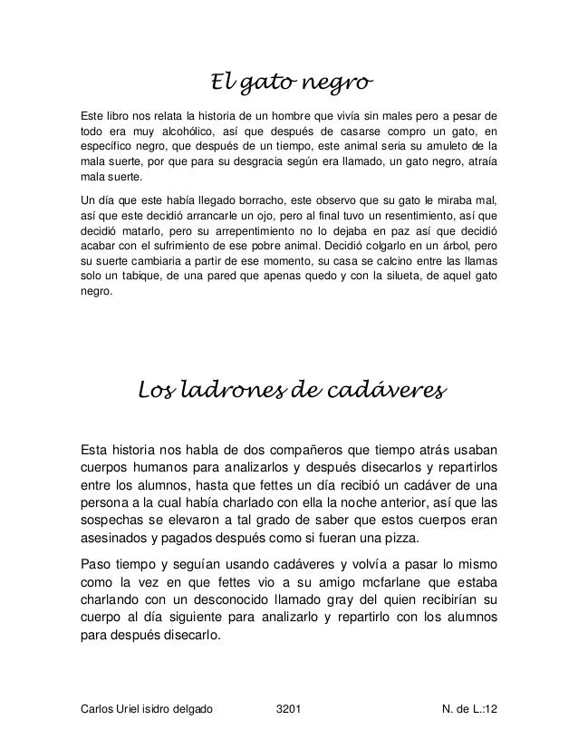 El gato negro El gato negro