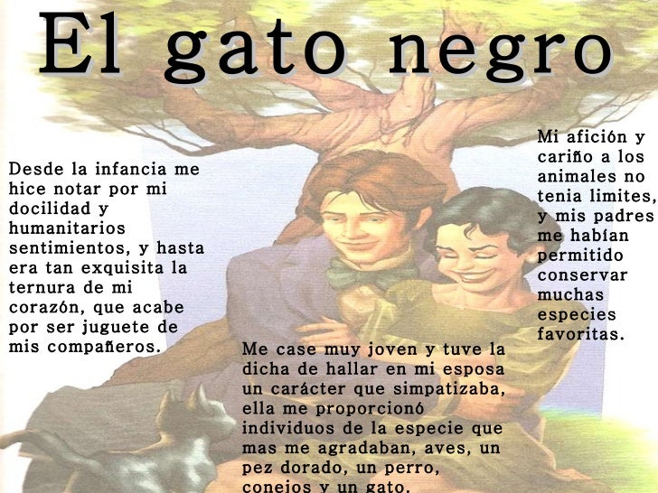 Libro El Gato Negro De Edgar Allan Poe Leer un Libro