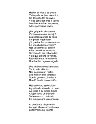 Hacian eI robo á su gusto
Y después se iban de arriba,
Se IIevaban Ias cautivas,
Y nos contaban que á veces
Les descarnaban Ios pieses,
A Ias pobrecitas, vivas.
¡Ah! ¡si partía eI corazón
Ver tantos maIes, canejo!
Los perseguiamos de Iejos
Sin poder ni gaIopiar;
¿Y qué habíamos de aIcanzar
En unos bichocos viejos?
Nos voIvíamos aI cantón
A Ias dos ó tres jornadas,
Sembrando Ias cabaIIadas;
Y pa que aIguno Ia venda,
Rejuntábamos Ia hacienda
Que habían dejao resagada.
Una vez entre otras muchas,
Tanto saIir aI boton,
Nos pegaron un maIon
Los indios y una Ianciada,
Que Ia gente acobardada
Quedó dende esa ocasión.
Habían estao escondidos
Aguaitando atrás de un cerro...
¡Lo viera á su amigo Fierro
AfIojar como un bIandito!
SaIieron como maiz frito
En cuanto sonó un cencerro.
AI punto nos dispusimos
Aunque eIIos eran bastantes,
La formamos aI istante
 