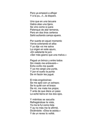 Pero ya empezó a afIojar
Y á Ia pu...n...ta disparó.
Uno que en una tacuara
Había atao una tijera,
Se vino como si juera
PaIenque de atar terneros,
Pero en dos tiros certeros
SaIió auIIando campo ajuera.
Por suerte en aqueI momento
Venía coIoriando eI aIba
Y yo dije «si me saIva
La virgen en este apuro,
«En adeIante Ie juro
«Ser más güeno que una maIva.»
Pegué un brinco y entre todos
Sin miedo me entreveré—
Echo oviIIo me quedé
Y ya me cargó una yunta,
Y por eI sueIo Ia punta
De mi facón Ies jugué.
EI más engoIosinao
Se me apió con un achazo;
Se Io quité con eI brazo
De nó, me mata Ios piojos;
Y ante de que diera un paso
Le eché tierra en Ios dos ojos.
Y miéntras se sacudía
Refregándose Ia vista,
Yo me Ie fuí como Iista
Y ay no más me Ie afirmé,
DiciéndoIe: «Dios te asista.»
Y de un reves Io voItié.
 