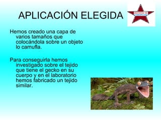 APLICACIÓN ELEGIDA
Hemos creado una capa de
varios tamaños que
colocándola sobre un objeto
lo camufla.
Para conseguirla hemos
investigado sobre el tejido
que tiene el gecko en su
cuerpo y en el laboratorio
hemos fabricado un tejido
similar.
 