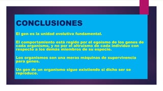 CONCLUSIONES
El gen es la unidad evolutiva fundamental.

El comportamiento está regido por el egoísmo de los genes de
cada organismo, y no por el altruismo de cada individuo con
respecto a los demás miembros de su especie.
Los organismos son una meras máquinas de supervivencia
para genes.
Un gen de un organismo sigue existiendo si dicho ser se
reproduce.

 