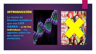INTRODUCCIÒN
La teoría de
Dawkins establece
que son LOS
GENES —y no los
individuos— los
agentes sobre los
que opera la
evolución.

 