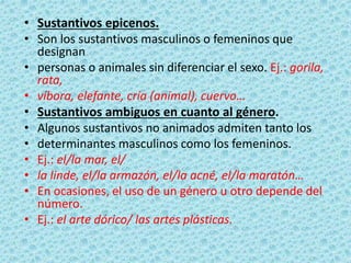 El genero en el sustantivo | PPTX
