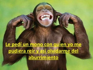Le pedí un mono con quien yo me
 pudiera reir y así olvidarme del
          aburrimiento
 