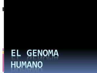 EL GENOMA
HUMANO
 