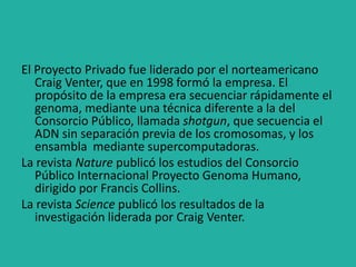 El Proyecto Privado fue liderado por el norteamericano
Craig Venter, que en 1998 formó la empresa. El
propósito de la empresa era secuenciar rápidamente el
genoma, mediante una técnica diferente a la del
Consorcio Público, llamada shotgun, que secuencia el
ADN sin separación previa de los cromosomas, y los
ensambla mediante supercomputadoras.
La revista Nature publicó los estudios del Consorcio
Público Internacional Proyecto Genoma Humano,
dirigido por Francis Collins.
La revista Science publicó los resultados de la
investigación liderada por Craig Venter.
 