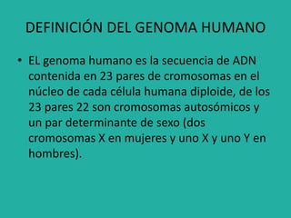 DEFINICIÓN DEL GENOMA HUMANO
• EL genoma humano es la secuencia de ADN
contenida en 23 pares de cromosomas en el
núcleo de cada célula humana diploide, de los
23 pares 22 son cromosomas autosómicos y
un par determinante de sexo (dos
cromosomas X en mujeres y uno X y uno Y en
hombres).
 