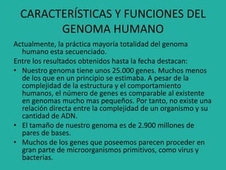 CARACTERÍSTICAS Y FUNCIONES DEL
GENOMA HUMANO
Actualmente, la práctica mayoría totalidad del genoma
humano esta secuenciado.
Entre los resultados obtenidos hasta la fecha destacan:
• Nuestro genoma tiene unos 25.000 genes. Muchos menos
de los que en un principio se estimaba. A pesar de la
complejidad de la estructura y el comportamiento
humanos, el número de genes es comparable al existente
en genomas mucho mas pequeños. Por tanto, no existe una
relación directa entre la complejidad de un organismo y su
cantidad de ADN.
• El tamaño de nuestro genoma es de 2.900 millones de
pares de bases.
• Muchos de los genes que poseemos parecen proceder en
gran parte de microorganismos primitivos, como virus y
bacterias.
 
