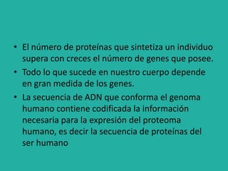 • El número de proteínas que sintetiza un individuo
supera con creces el número de genes que posee.
• Todo lo que sucede en nuestro cuerpo depende
en gran medida de los genes.
• La secuencia de ADN que conforma el genoma
humano contiene codificada la información
necesaria para la expresión del proteoma
humano, es decir la secuencia de proteínas del
ser humano
 