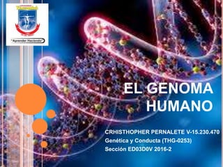 EL GENOMA
HUMANO
CRHISTHOPHER PERNALETE V-15.230.470
Genética y Conducta (THG-0253)
Sección ED03D0V 2016-2
 