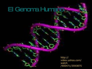 El Genoma Humano El Genoma Humano http :// video.yahoo.com / watch /900471/3593875 