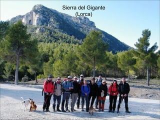 Sierra del Gigante (Lorca) 