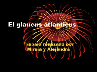 El glaucus atlanticus
Trabajo realizado por
Mireia y Alejandra
 