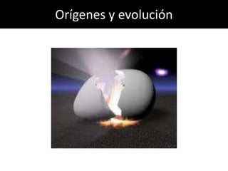 Orígenes y evolución
 