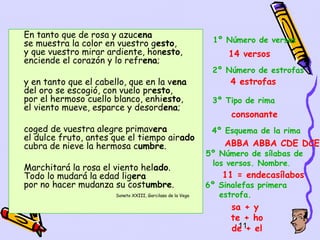 En tanto que de rosa y azucena
se muestra la color en vuestro gesto,                        1º Número de versos
y que vuestro mirar ardiente, honesto,                           14 versos
enciende el corazón y lo refrena;
                                                             2º Número de estrofas
y en tanto que el cabello, que en la vena                         4 estrofas
del oro se escogió, con vuelo presto,
por el hermoso cuello blanco, enhiesto,                      3º Tipo de rima
el viento mueve, esparce y desordena;
                                                                  consonante
coged de vuestra alegre primavera                            4º Esquema de la rima
el dulce fruto, antes que el tiempo airado
cubra de nieve la hermosa cumbre.                               ABBA ABBA CDE DCE
                                                            5º Número de sílabas de
                                                             los versos. Nombre.
Marchitará la rosa el viento helado.
Todo lo mudará la edad ligera                                   11 = endecasílabos
por no hacer mudanza su costumbre.                          6º Sinalefas primera
                       Soneto XXIII, Garcilaso de la Vega      estrofa.
                                                                  sa + y
                                                                  te + ho
                                                                    11
                                                                  de + el
 