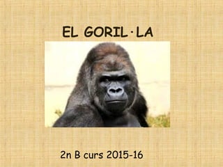 EL GORIL·LA
2n B curs 2015-16
 