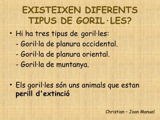 EXISTEIXEN DIFERENTS
TIPUS DE GORIL·LES?
• Hi ha tres tipus de goril·les:
- Goril·la de planura occidental.
- Goril·la de planura oriental.
- Goril·la de muntanya.
• Els goril·les són uns animals que estan
perill d'extinció
Christian – Joan Manuel
 