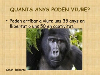 QUANTS ANYS PODEN VIURE?
• Poden arribar a viure uns 35 anys en
llibertat o uns 50 en captivitat.
Omar- Roberto
 