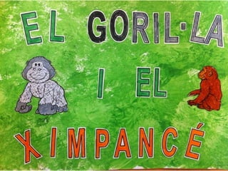 El goril·la i el ximpancé p4