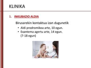 KLINIKA
1. INKUBAZIO ALDIA
• Aldi prodromikoa arte, 10 egun.
• Exantema agertu arte, 14 egun.
(7-18 egun)
Birusarekin kontaktua izan dugunetik
 