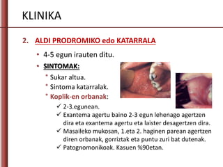 KLINIKA
2. ALDI PRODROMIKO edo KATARRALA
• 4-5 egun irauten ditu.
• SINTOMAK:
* Sukar altua.
* Sintoma katarralak.
* Koplik-en orbanak:
 2-3.egunean.
 Exantema agertu baino 2-3 egun lehenago agertzen
dira eta exantema agertu eta laister desagertzen dira.
 Masaileko mukosan, 1.eta 2. haginen parean agertzen
diren orbanak, gorriztak eta puntu zuri bat dutenak.
 Patognomonikoak. Kasuen %90etan.
 
