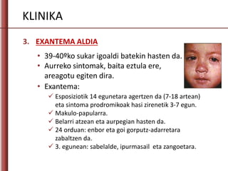 KLINIKA
3. EXANTEMA ALDIA
• 39-40ºko sukar igoaldi batekin hasten da.
• Aurreko sintomak, baita eztula ere,
areagotu egiten dira.
 Esposiziotik 14 egunetara agertzen da (7-18 artean)
eta sintoma prodromikoak hasi zirenetik 3-7 egun.
 Makulo-papularra.
 Belarri atzean eta aurpegian hasten da.
 24 orduan: enbor eta goi gorputz-adarretara
zabaltzen da.
 3. egunean: sabelalde, ipurmasail eta zangoetara.
• Exantema:
 