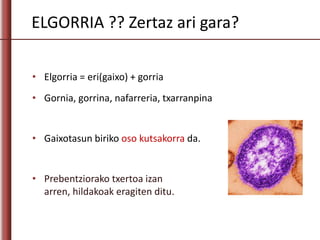 ELGORRIA ?? Zertaz ari gara?
• Elgorria = eri(gaixo) + gorria
• Gornia, gorrina, nafarreria, txarranpina
• Gaixotasun biriko oso kutsakorra da.
• Prebentziorako txertoa izan
arren, hildakoak eragiten ditu.
 
